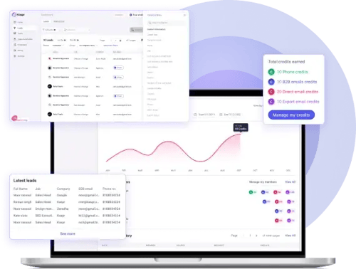 Grafik des Kaspr-Kreditsystems und der Nutzungsstatistiken